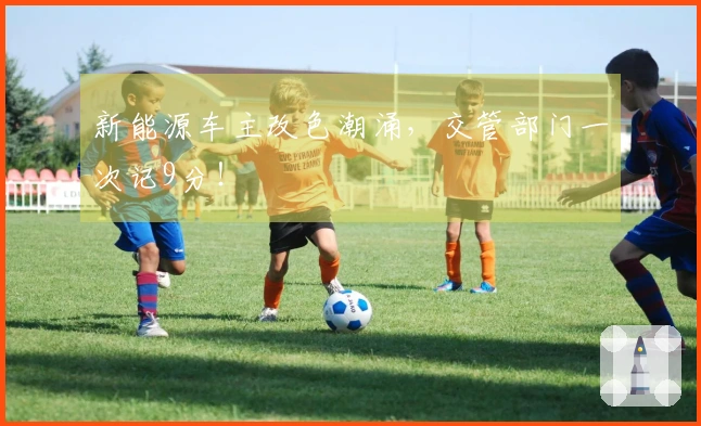 新能源车主改色潮涌，交管部门一次记9分！